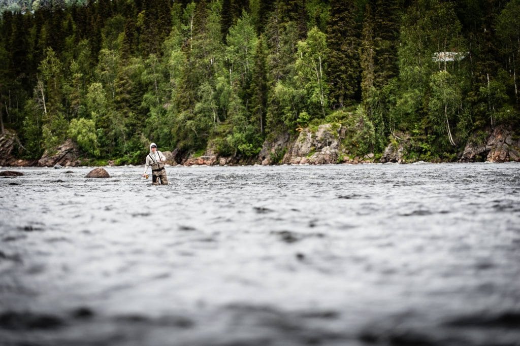 Camp Onka, Baltic salmon, Aardvark McLeod