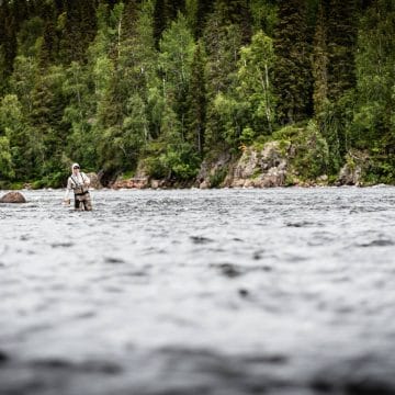 Camp Onka, Baltic salmon, Aardvark McLeod