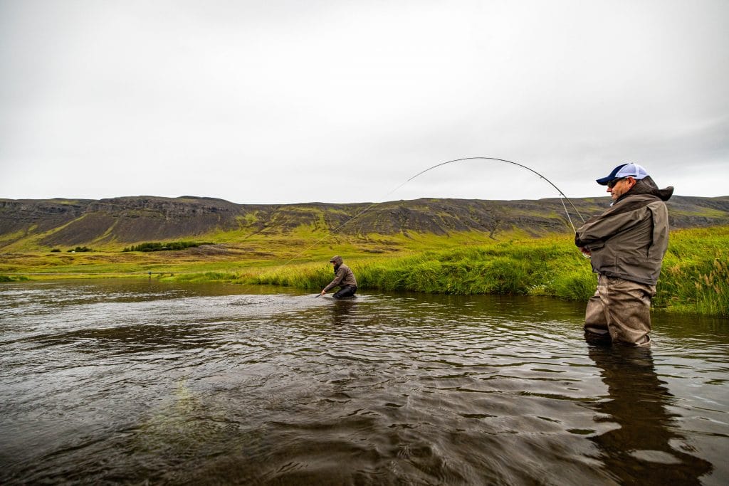 Salmon, sea trout Laxa I Kjos, Iceland, Aardvark McLeod