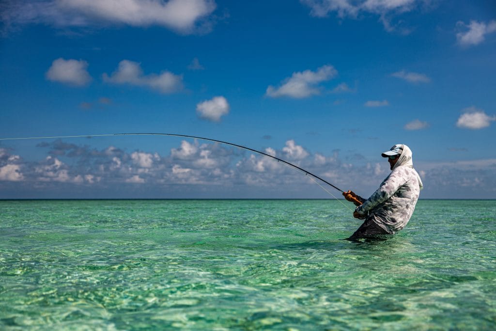 Providence Atoll, Seychelles, Aardvark McLeod