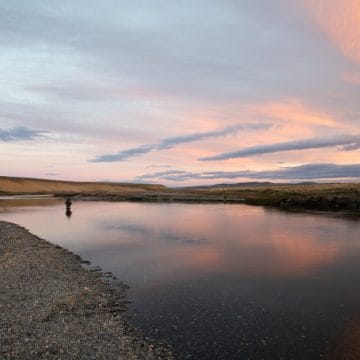 Estancia Maria Behety, Argentina, Aardvark McLeod