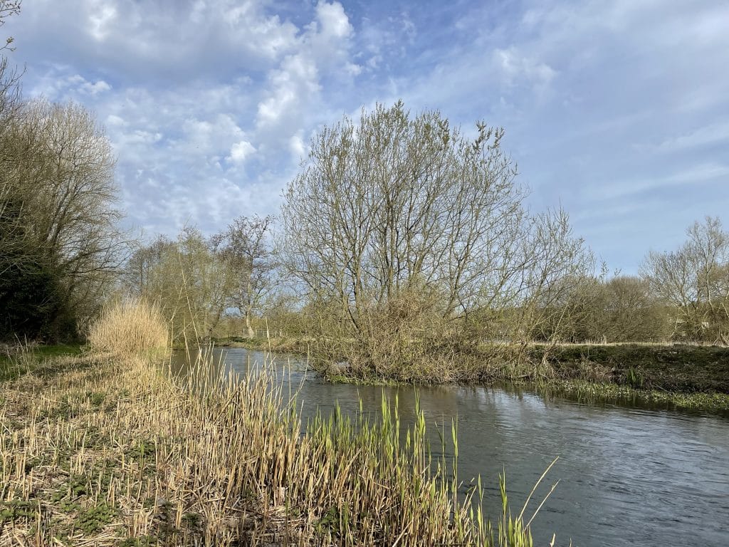 River Wylye, Langford Lakes, Chalkstream Fly Fishing