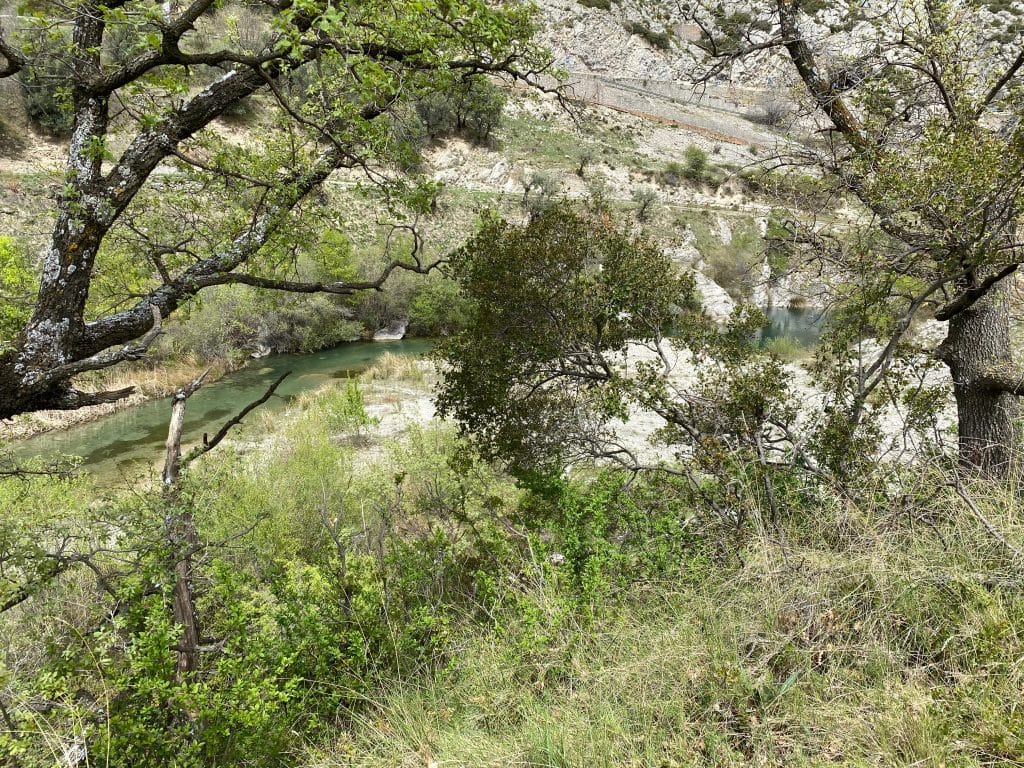 Spanish Pyrenees, Zebra Trout, trout fishing, fishing in the Pyrenees, Aardvark McLeod, Spain