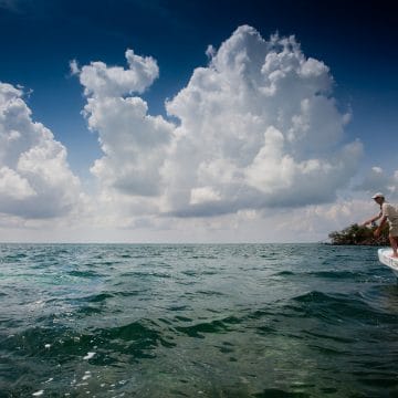 El Pescador Lodge, Belize, Aardvark McLeod