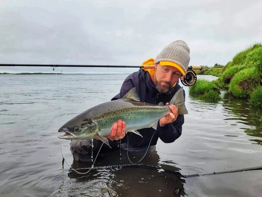 West Ranga, Iceland, Aardvark McLeod