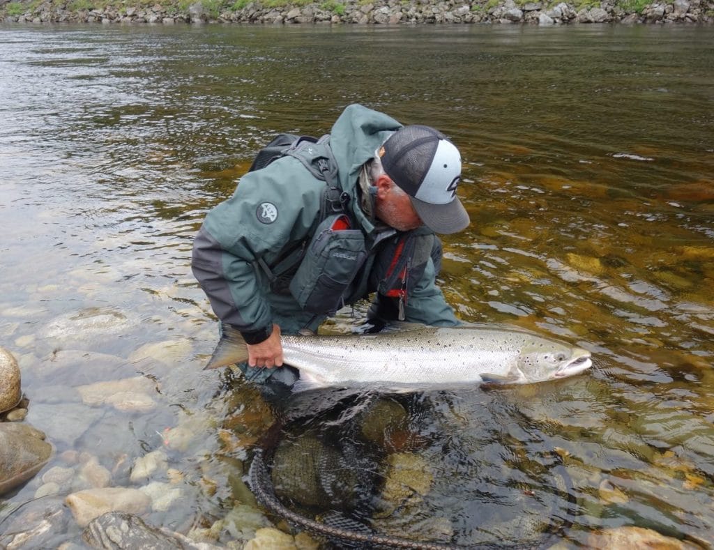 Gaula River Norway, Norwegian Fly Fishers Club Norway, NFC Norway, Atlantic salmon Norway, Salmon Fly Fishing Norway