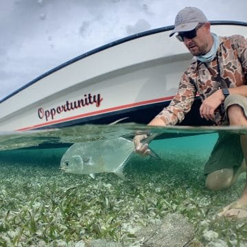 Blue Horizon Lodge, Belize, Permit, Caribbean permit, Belize permit, Aardvark McLeod