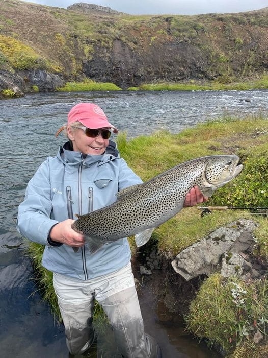 Laxa I Kjos, Iceland, Aardvark McLeod