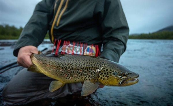 Tjuonajokk Lodge, Sweden, grayling Sweden, Aardvark McLeod