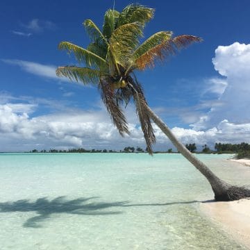 Christmas Island Lodge, Christmas Island salt water fishing, Christmas Island bonefishing, Aardvark McLeod