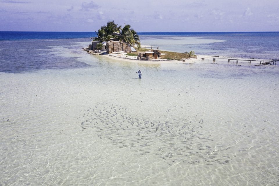 Fly Fish Guanaja Faraway Cays, Honduras permit, Honduras bonefish, Honduras fly fishing, Aardvark McLeod