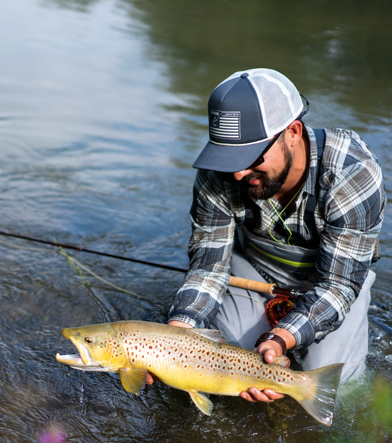 Salvelinus, spain, fly fishing, pyrenees, trout