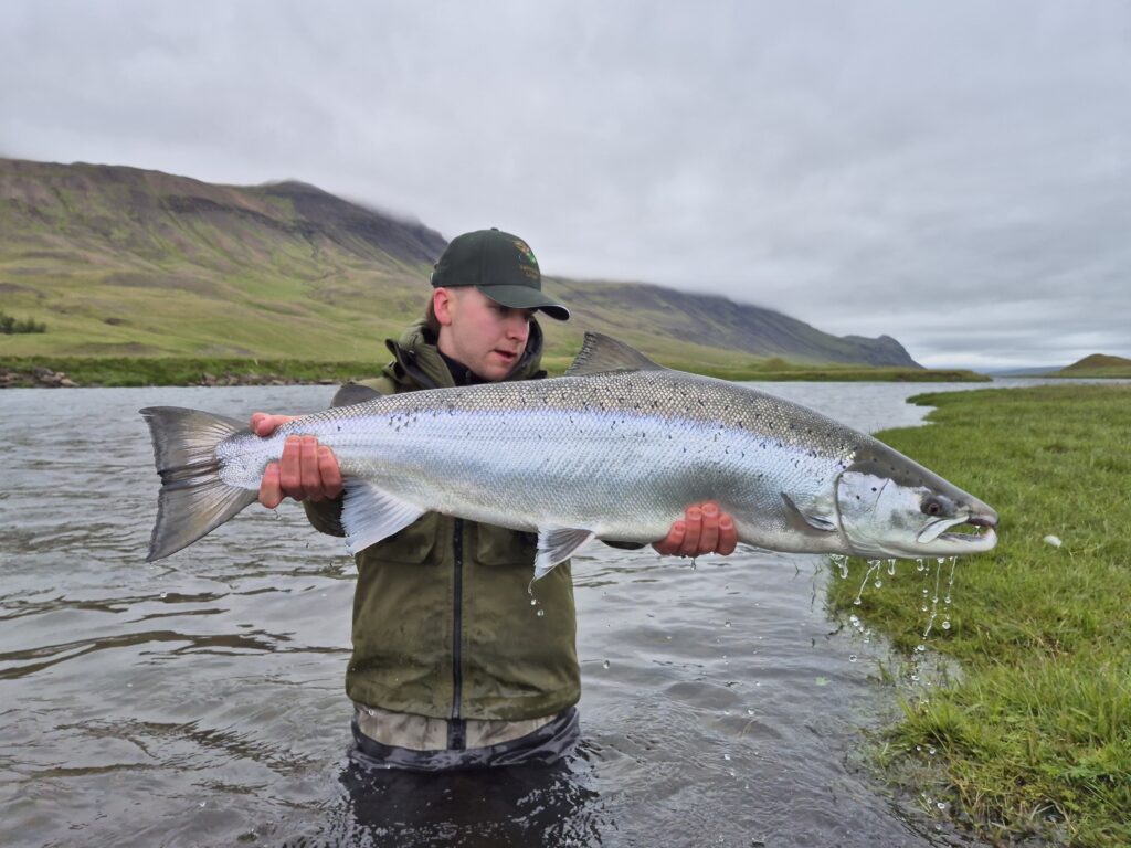 Vatnsdalsa, Iceland, Aardvark McLeod