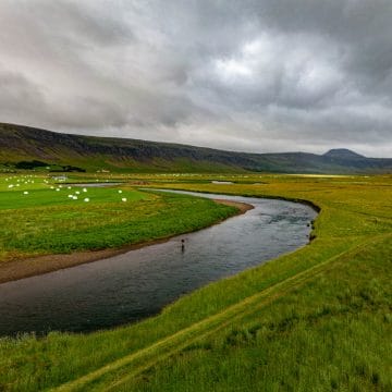 Laxa I Kjos, Iceland, Aardvark McLeod