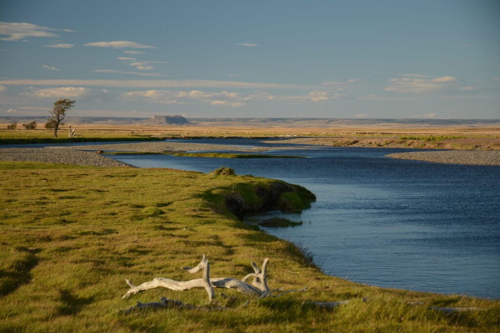 El rincon, rio Gallegos, rio penitente, fishing argentina, sea trout, brown trout, bella vista, las buitreras