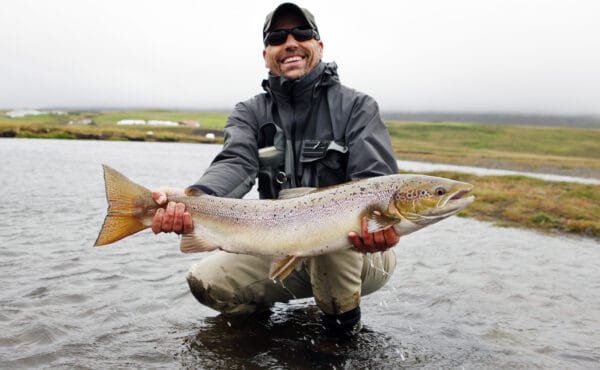 Vididalsa, Iceland salmon fishing, Aardvark McLeod