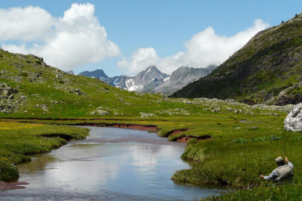 Salvelinus, spain, fly fishing, pyrenees, trout