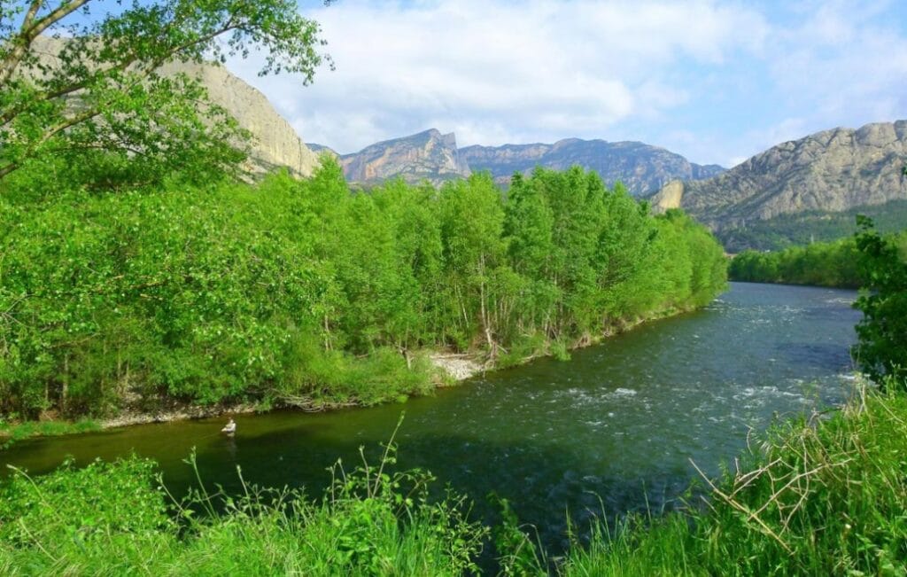 Salvelinus, spain, fly fishing, pyrenees, trout