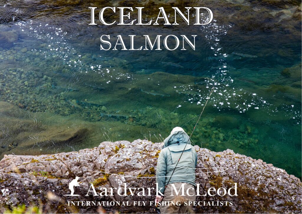Iceland Salmon Brochure 2023, Aardvark McLeod