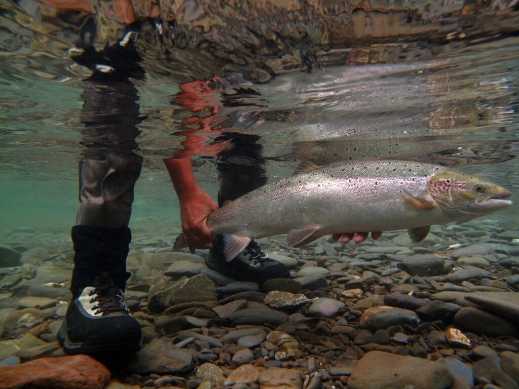 Gaspe Salmon Fly Fishing, Camp Bonaventure, Salmon Lodge, Grand Cascapedia, The Club