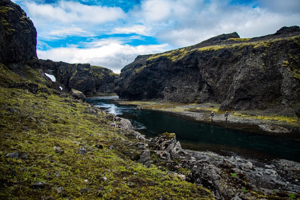 The Highlands, brown trout, Kaldakvisl, tungnaa, Iceland Arctic char fishing, Aardvark McLeod