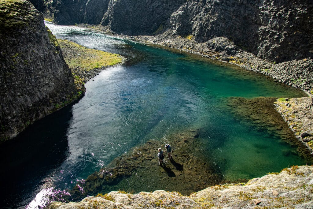 The Highlands, brown trout, Kaldakvisl, tungnaa, Iceland Arctic char fishing, Aardvark McLeod