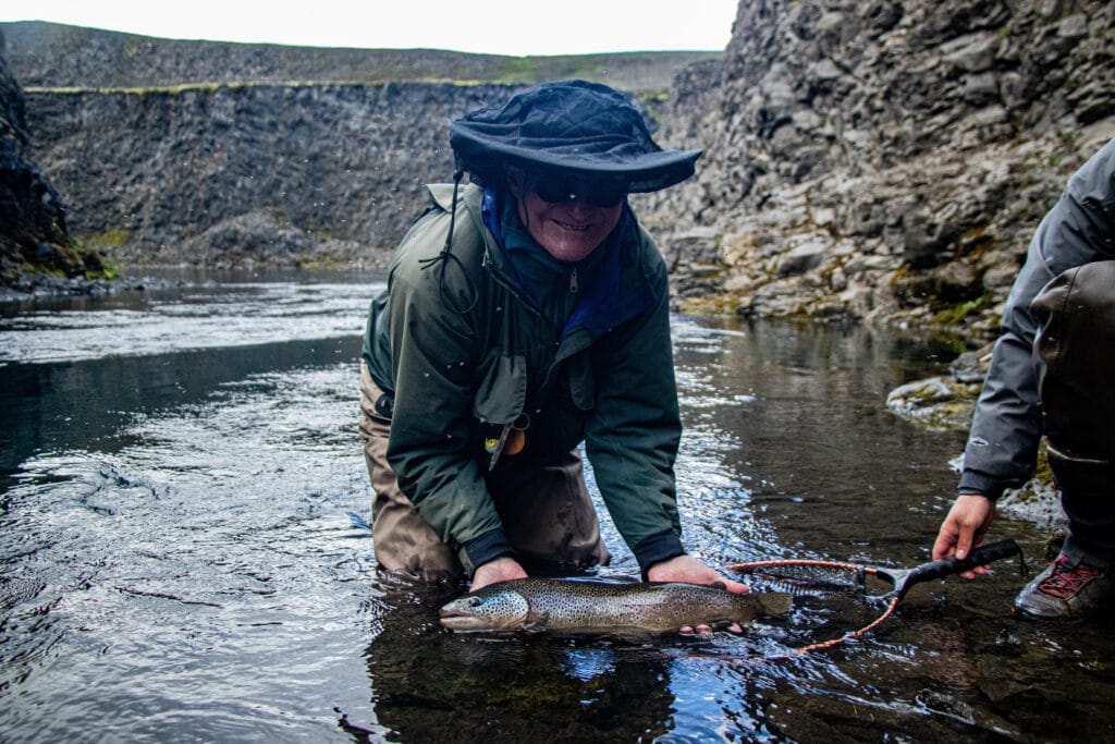 The Highlands, brown trout, Kaldakvisl, tungnaa, Iceland Arctic char fishing, Aardvark McLeod