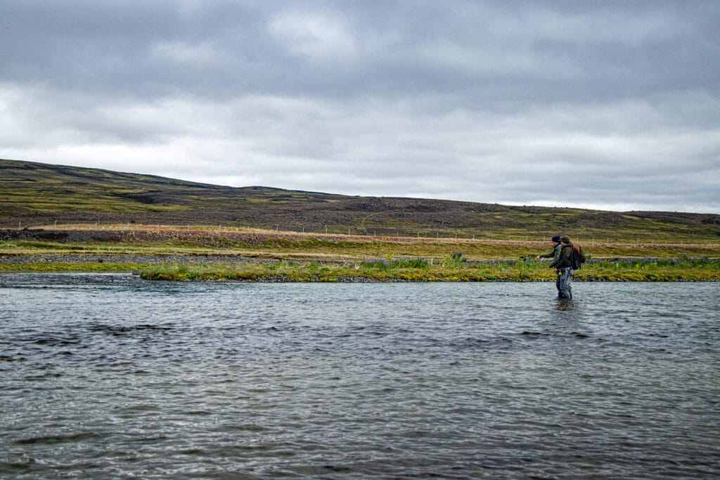 The Highlands, brown trout, Kaldakvisl, tungnaa, Iceland Arctic char fishing, Aardvark McLeod