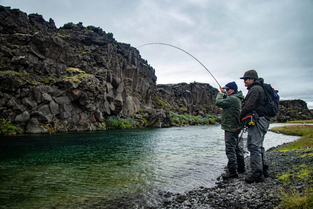 The Highlands, brown trout, Kaldakvisl, tungnaa, Iceland Arctic char fishing, Aardvark McLeod