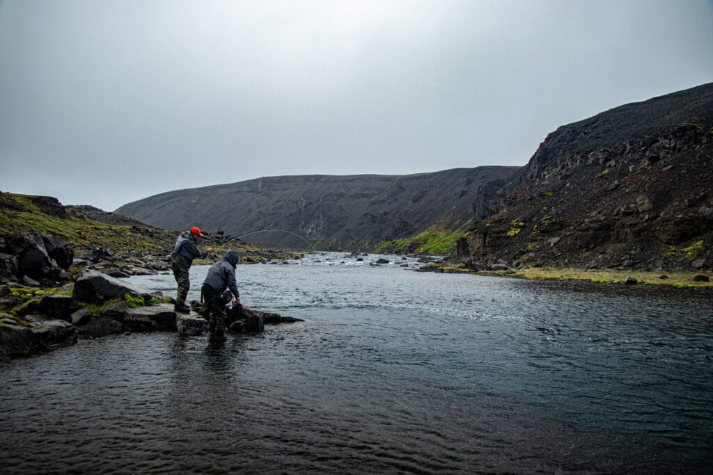 The Highlands, brown trout, Kaldakvisl, tungnaa, Iceland Arctic char fishing, Aardvark McLeod