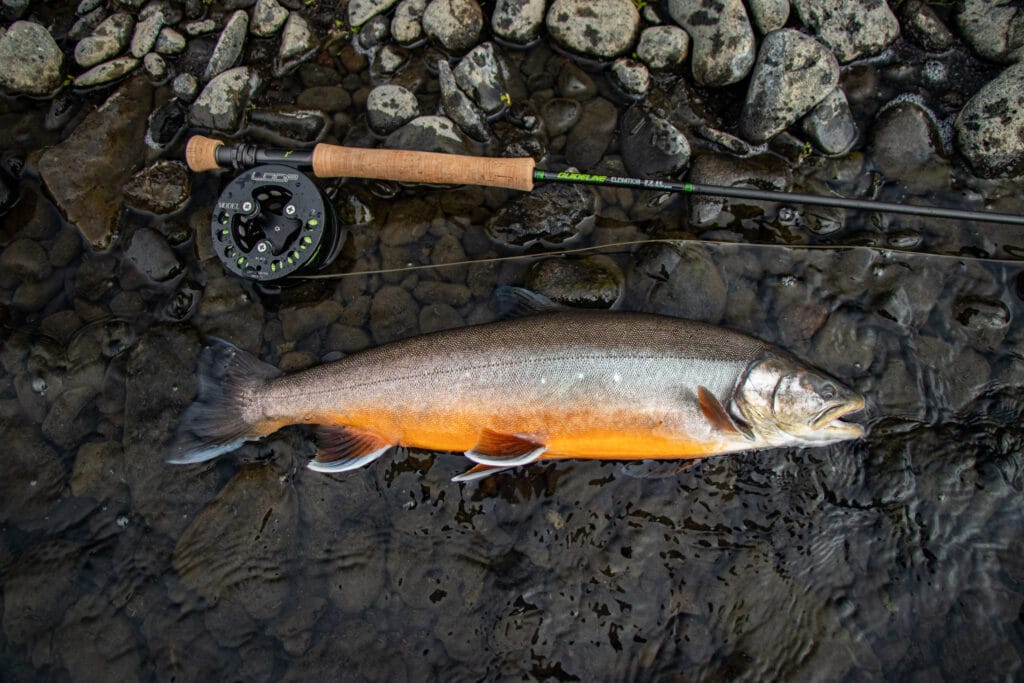 The Highlands, brown trout, Kaldakvisl, tungnaa, Iceland Arctic char fishing, Aardvark McLeod