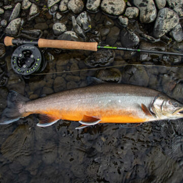 The Highlands, brown trout, Kaldakvisl, tungnaa, Iceland Arctic char fishing, Aardvark McLeod