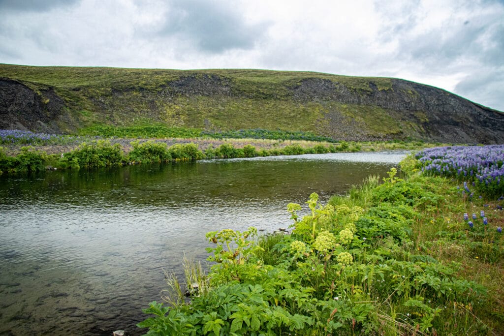 The Highlands, brown trout, Kaldakvisl, tungnaa, Iceland Arctic char fishing, Aardvark McLeod