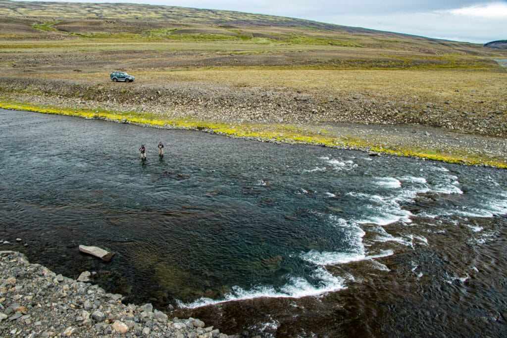 The Highlands, brown trout, Kaldakvisl, tungnaa, Iceland Arctic char fishing, Aardvark McLeod