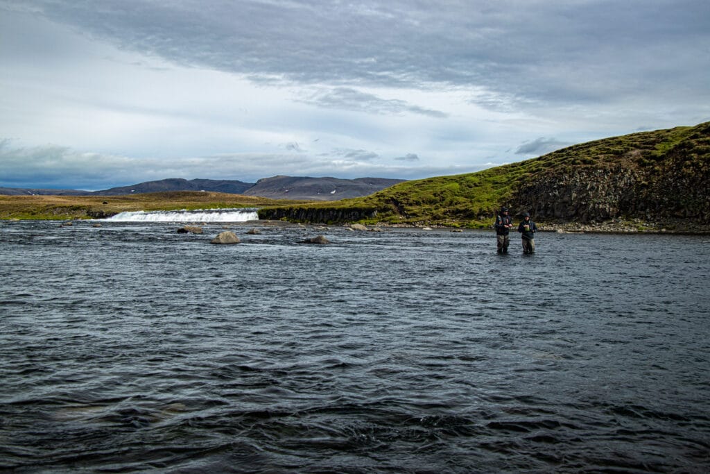 The Highlands, brown trout, Kaldakvisl, tungnaa, Iceland Arctic char fishing, Aardvark McLeod