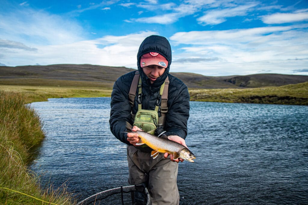 The Highlands, brown trout, Kaldakvisl, tungnaa, Iceland Arctic char fishing, Aardvark McLeod