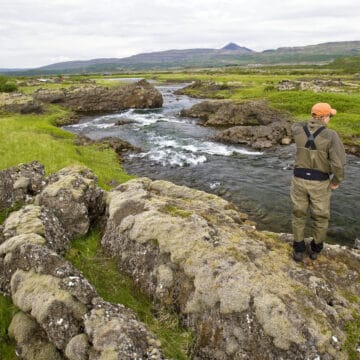 Nordura, Iceland, Aardvark McLeod