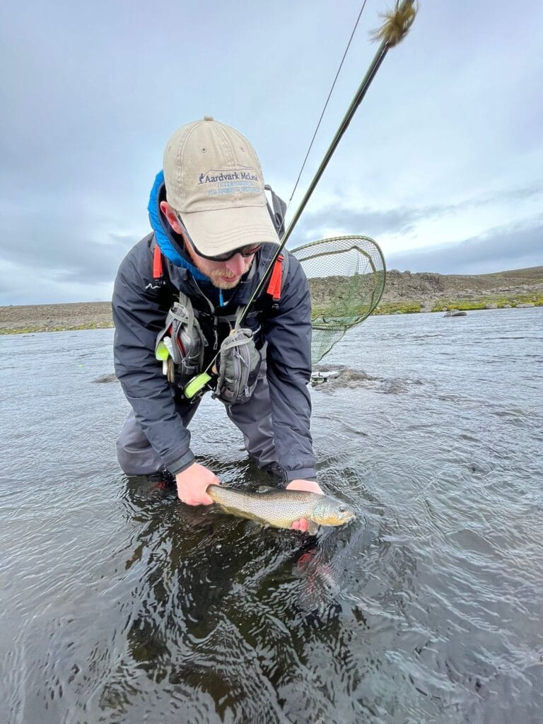 The Highlands, brown trout, Kaldakvisl, tungnaa, Iceland Arctic char fishing, Aardvark McLeod