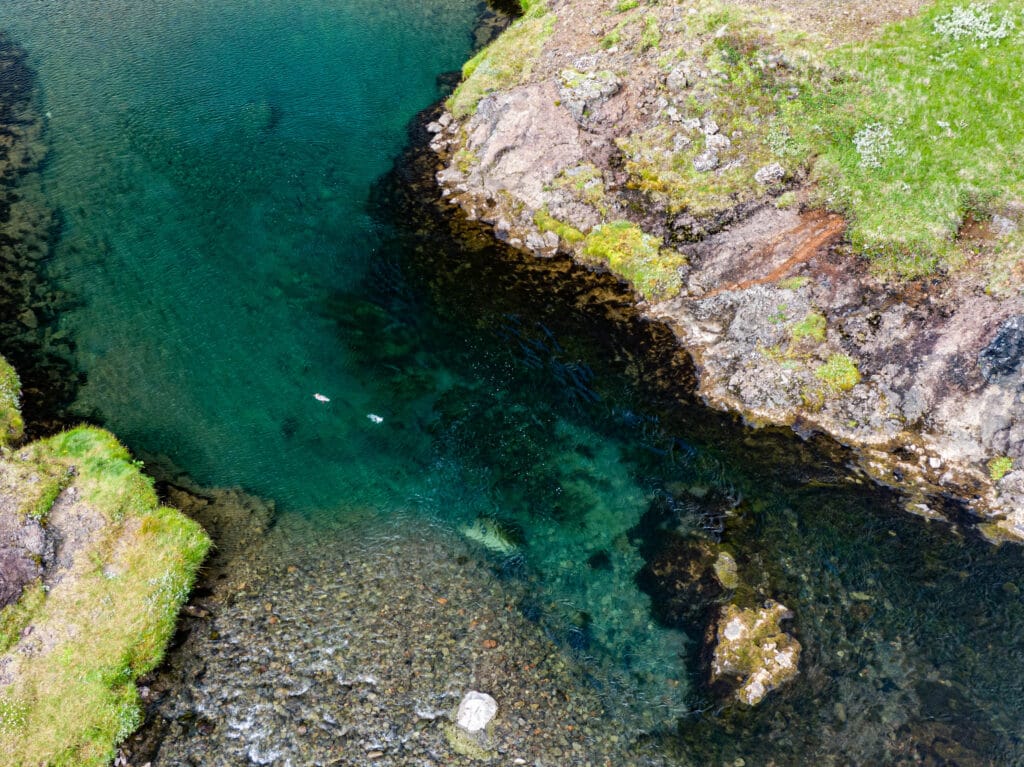 Laxa I Kjos, Iceland, Aardvark McLeod