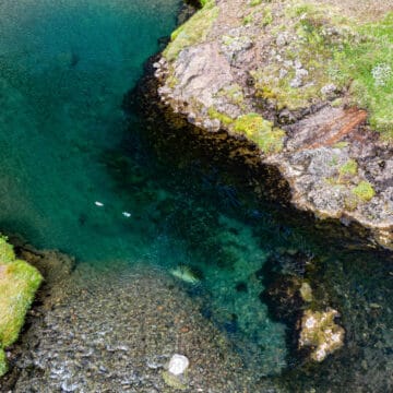 Laxa I Kjos, Iceland, Aardvark McLeod