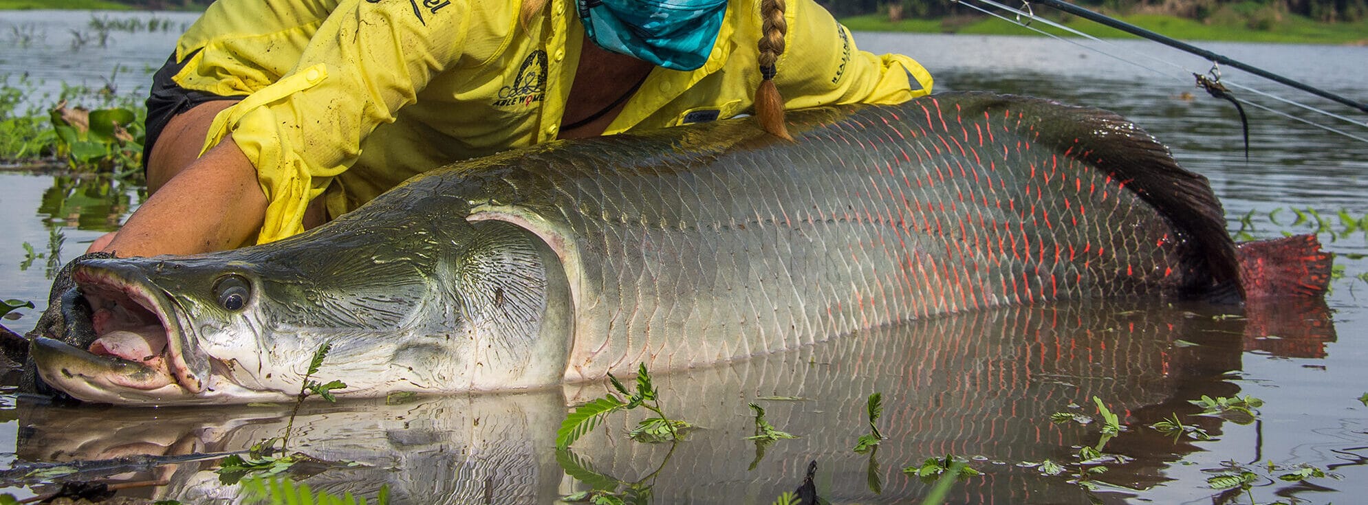 Pirarucu Lodge, arapaima, fly fishing Amazon, fly fishing Brazil, Aardvark McLeod