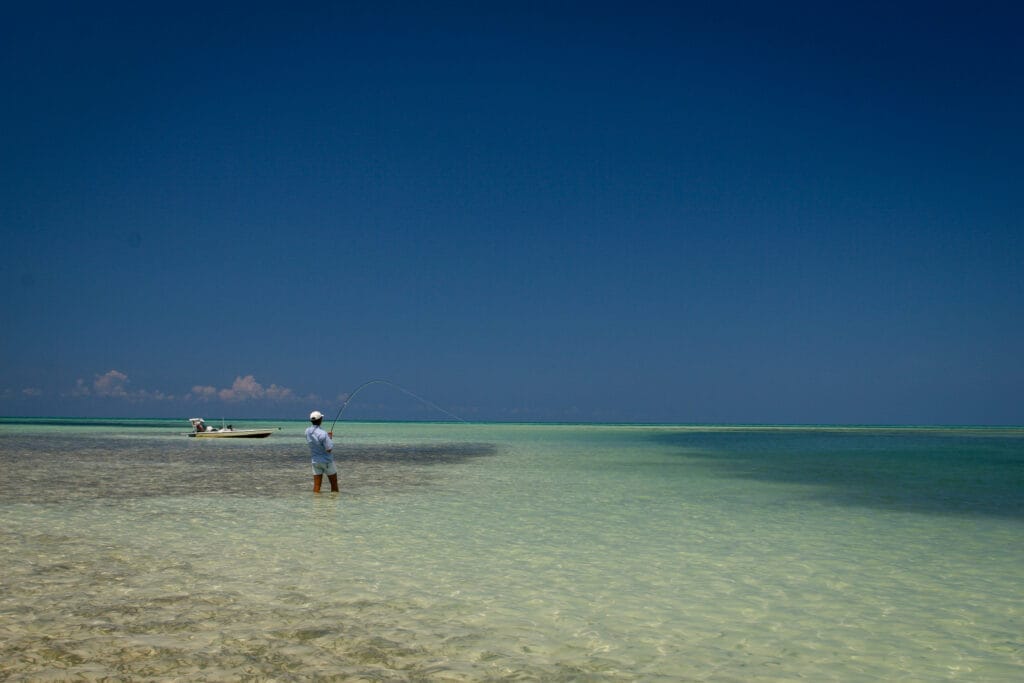 Canarreos Archipelago, Cayo Largo, Cuba, Aardvark McLeod