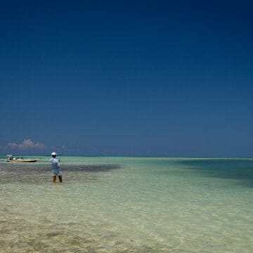 Canarreos Archipelago, Cayo Largo, Cuba, Aardvark McLeod