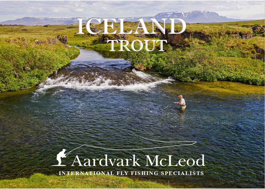 Iceland trout publication 2023 