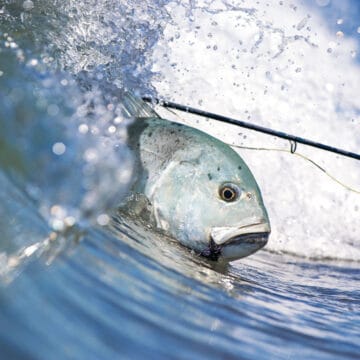 Cosmoledo Atoll, Seychelles, Seychelles fly fishing