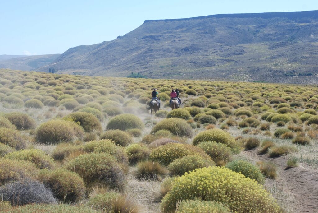 Argentina adventure of a lifetime, Rinconada Lodge, Aardvark McLeod