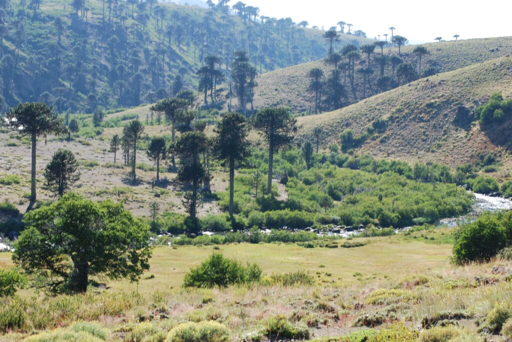 Argentina adventure of a lifetime, Rinconada Lodge, Aardvark McLeod