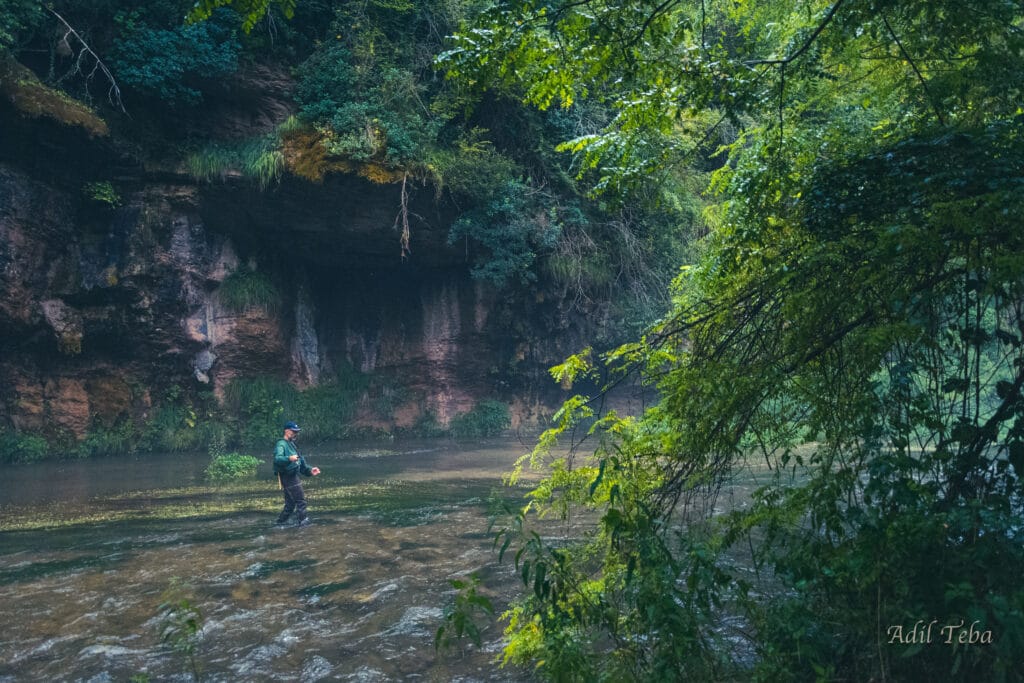 Val di Non, River Noce, Trentino, Italy, fly fishing Italy, trout fishing Italy, Aardvark McLeod