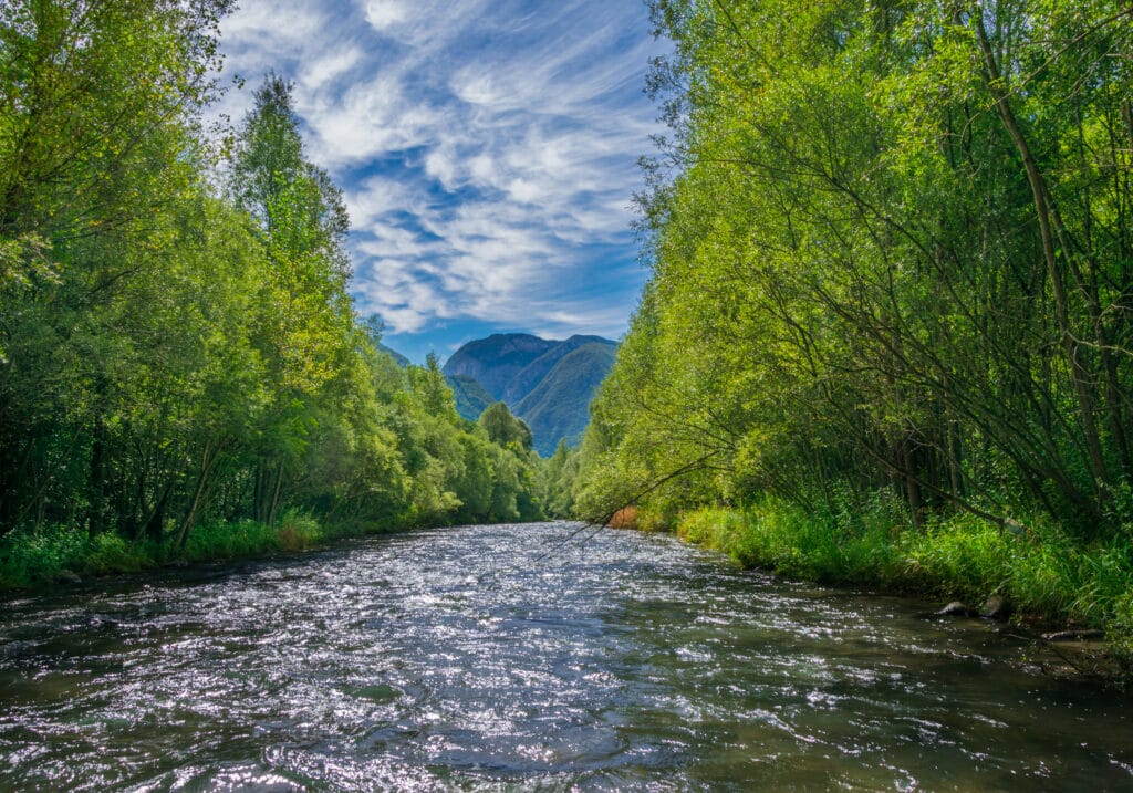 Val di Non, River Noce, Trentino, Italy, fly fishing Italy, trout fishing Italy, Aardvark McLeod