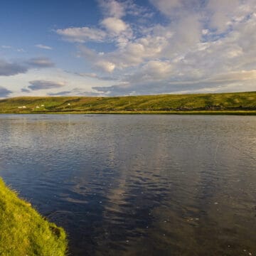 Laxardal, Iceland, Aardvark McLeod